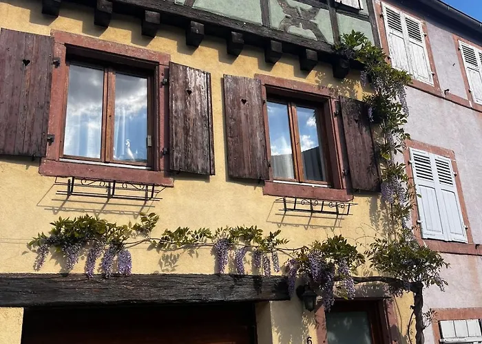 Le Rooftop Du Schlossberg Apartment Kaysersberg-Vignoble